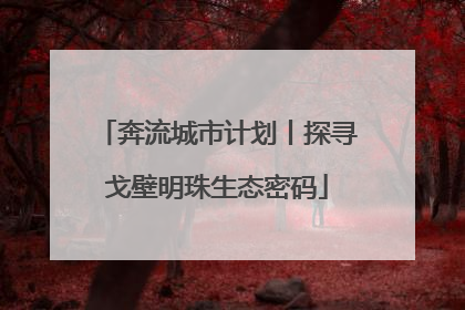 奔流城市计划丨探寻戈壁明珠生态密码