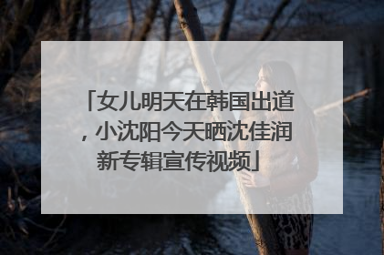 女儿明天在韩国出道，小沈阳今天晒沈佳润新专辑宣传视频