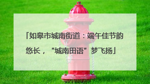 如皋市城南街道：端午佳节韵悠长，“城南田语”梦飞扬