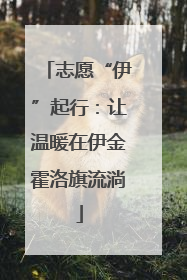 志愿“伊”起行：让温暖在伊金霍洛旗流淌
