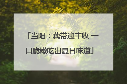 当阳：藕带迎丰收 一口脆嫩吃出夏日味道
