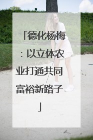 德化杨梅：以立体农业打通共同富裕新路子