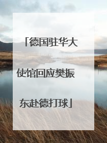 德国驻华大使馆回应樊振东赴德打球