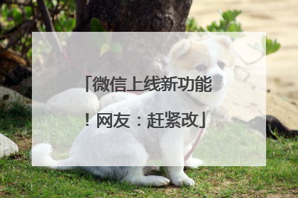 微信上线新功能！网友：赶紧改