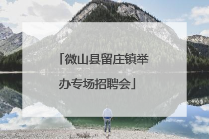 微山县留庄镇举办专场招聘会