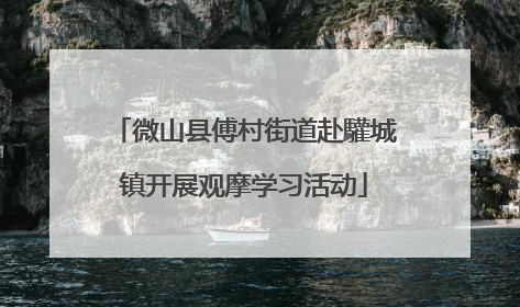 微山县傅村街道赴驩城镇开展观摩学习活动