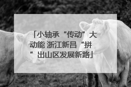 小轴承“传动”大动能 浙江新昌“拼”出山区发展新路