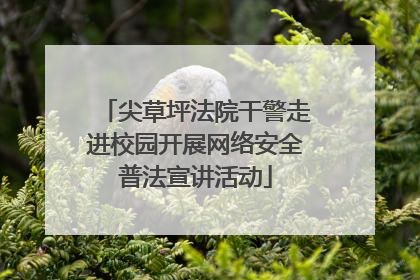 尖草坪法院干警走进校园开展网络安全普法宣讲活动