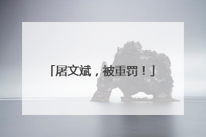 屠文斌，被重罚！