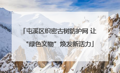 屯溪区织密古树防护网 让“绿色文物”焕发新活力