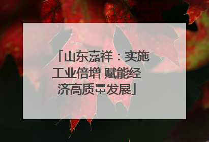 山东嘉祥：实施工业倍增 赋能经济高质量发展