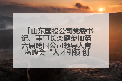 山东国投公司党委书记、董事长栾健参加第六届跨国公司领导人青岛峰会“人才引领 创新驱动”人力资源高质量发展对话会