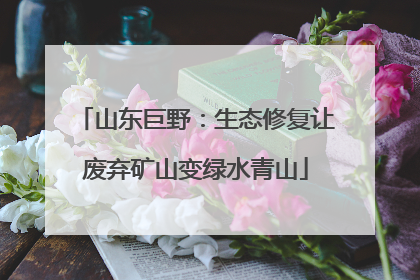 山东巨野：生态修复让废弃矿山变绿水青山
