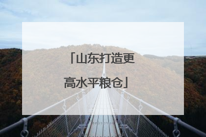 山东打造更高水平粮仓