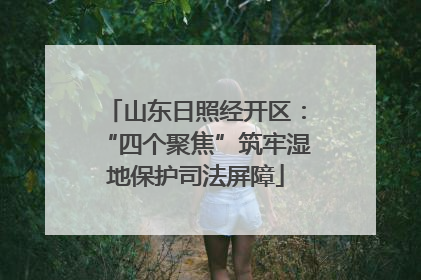 山东日照经开区：“四个聚焦”筑牢湿地保护司法屏障