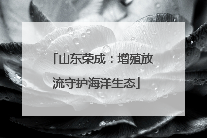 山东荣成：增殖放流守护海洋生态