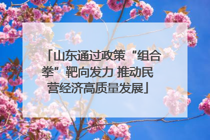 山东通过政策“组合拳”靶向发力 推动民营经济高质量发展