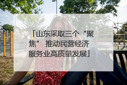 山东采取三个“聚焦” 推动民营经济服务业高质量发展