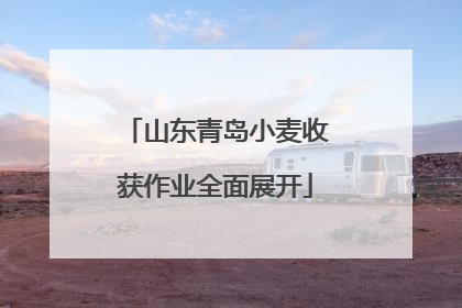山东青岛小麦收获作业全面展开