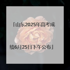 山东2025年高考成绩6月25日下午公布