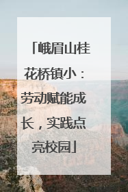 峨眉山桂花桥镇小：劳动赋能成长，实践点亮校园