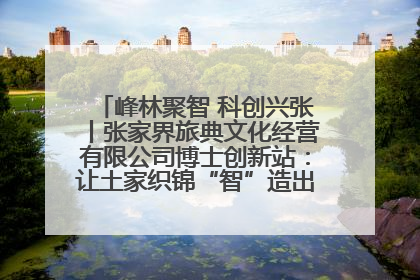 峰林聚智 科创兴张丨张家界旅典文化经营有限公司博士创新站：让土家织锦“智”造出非遗新传奇