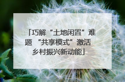 巧解“土地闲置”难题 “共享模式”激活乡村振兴新动能