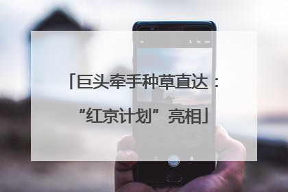 巨头牵手种草直达：“红京计划”亮相