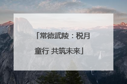 常德武陵：税月童行 共筑未来