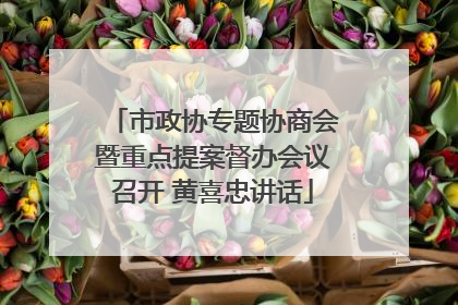 市政协专题协商会暨重点提案督办会议召开 黄喜忠讲话