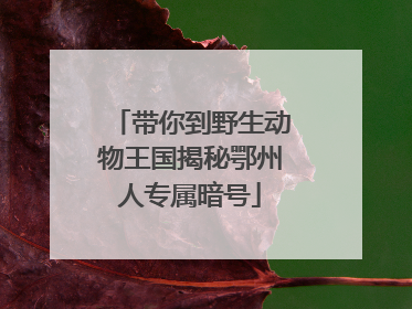 带你到野生动物王国揭秘鄂州人专属暗号
