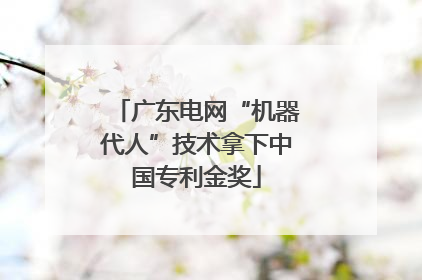 广东电网“机器代人”技术拿下中国专利金奖