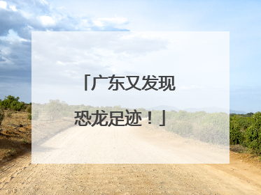 广东又发现恐龙足迹！