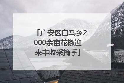 广安区白马乡2000余亩花椒迎来丰收采摘季