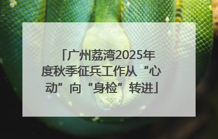 广州荔湾2025年度秋季征兵工作从“心动”向“身检”转进