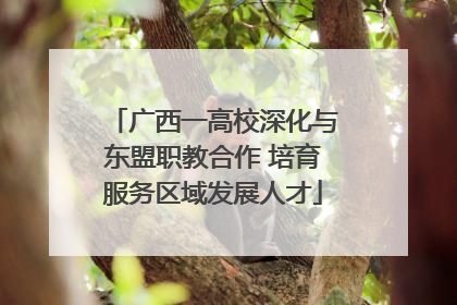 广西一高校深化与东盟职教合作 培育服务区域发展人才