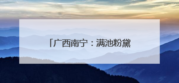 广西南宁：满池粉黛映夏凉 游人赏荷忙