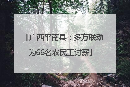广西平南县：多方联动为66名农民工讨薪
