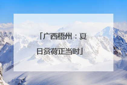 广西梧州：夏日赏荷正当时