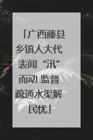 广西藤县乡镇人大代表闻“汛”而动 监督疏通水渠解民忧