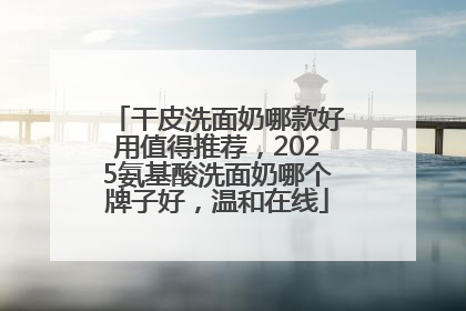 干皮洗面奶哪款好用值得推荐，2025氨基酸洗面奶哪个牌子好，温和在线