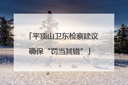 平顶山卫东检察建议确保“罚当其错”