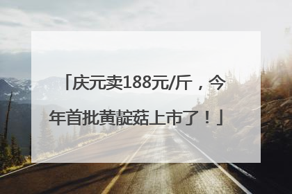 庆元卖188元/斤，今年首批黄靛菇上市了！