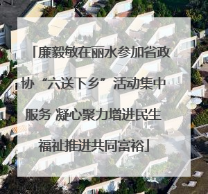 廉毅敏在丽水参加省政协“六送下乡”活动集中服务 凝心聚力增进民生福祉推进共同富裕