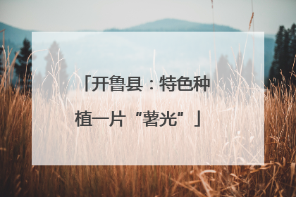 开鲁县：特色种植一片“薯光”