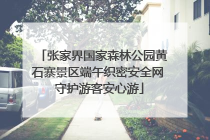 张家界国家森林公园黄石寨景区端午织密安全网 守护游客安心游