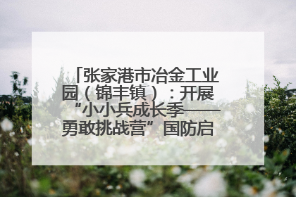 张家港市冶金工业园（锦丰镇）：开展“小小兵成长季——勇敢挑战营”国防启蒙教育活动