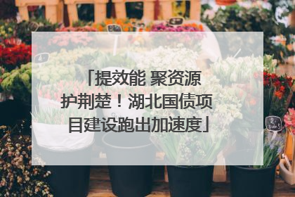 提效能 聚资源 护荆楚！湖北国债项目建设跑出加速度