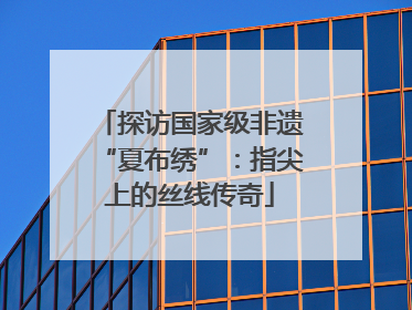 探访国家级非遗“夏布绣”：指尖上的丝线传奇