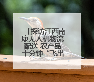 探访江西南康无人机物流配送 农产品十分钟“飞出”深山